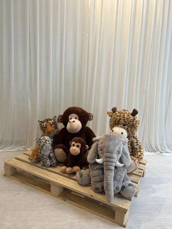 Location de peluches theme jungle pour vos événements près de Dunkerque